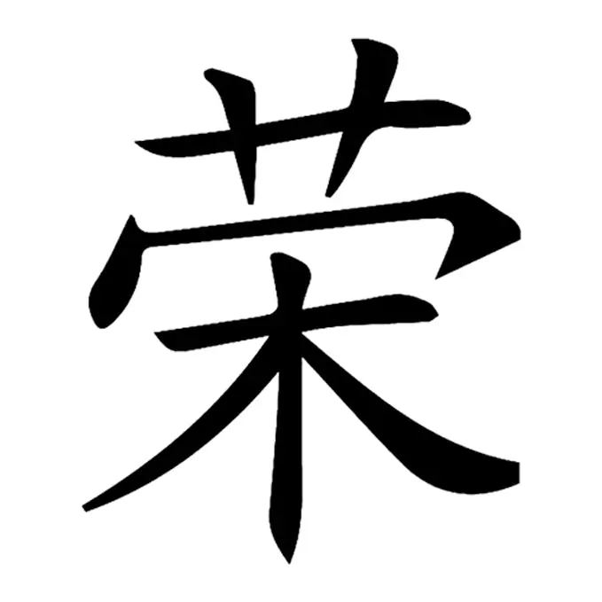 Tatuagem temporária Oriental — Ideograma chinês (prosperidade). Inclui ideograma