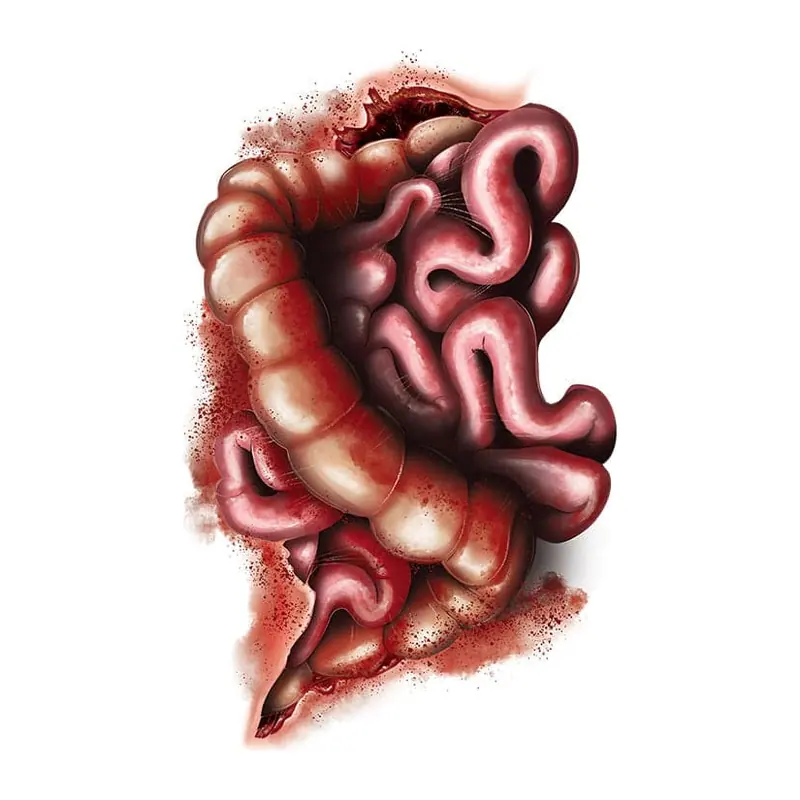 Tatuagem temporária Efeitos e Fantasia — Intestinos expostos. Inclui intestinos