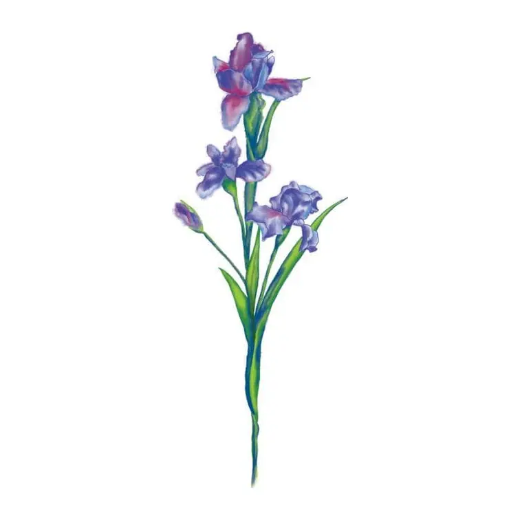 Tatuagem temporária Flores — Íris em aquarela. Inclui íris