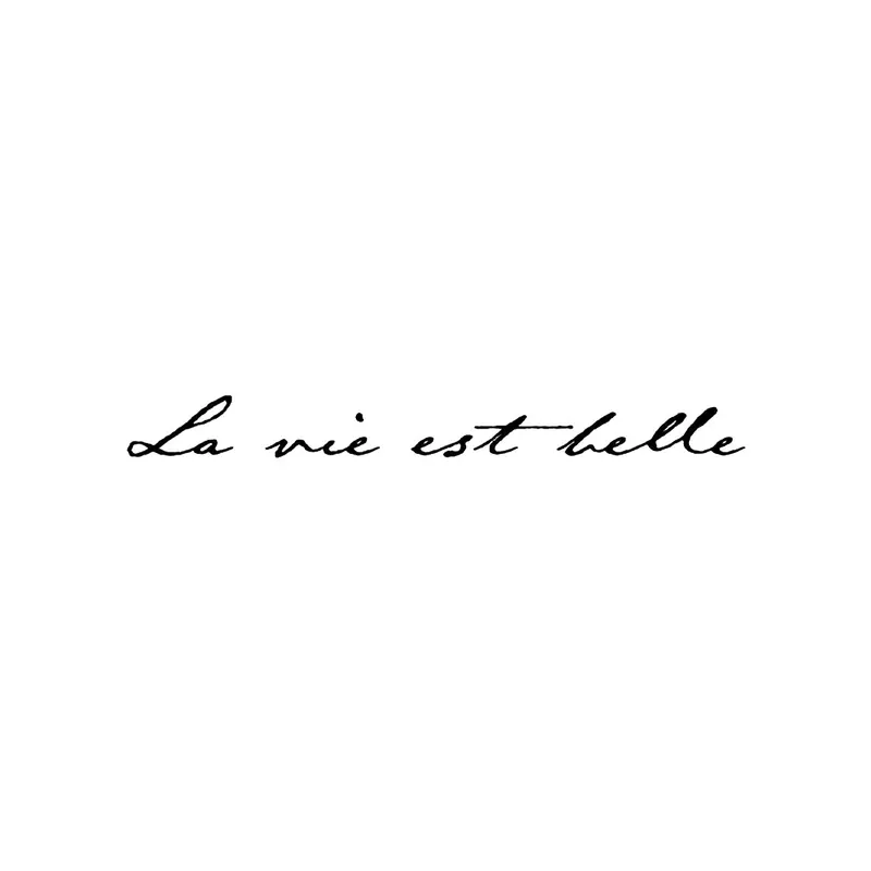 Tatuagem temporária Letras e Frases — La vie est belle (a vida é bela em francês). Inclui frase em francês