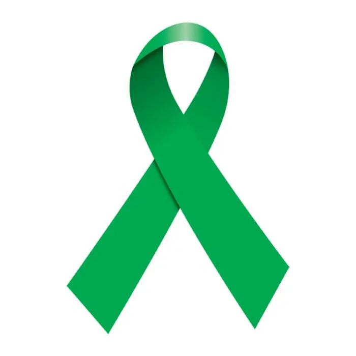 Tatuagem temporária Símbolos — Laço verde. Inclui laço