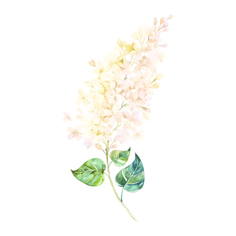 Tatuagem temporária Flores — Lilás em aquarela. Inclui lilás