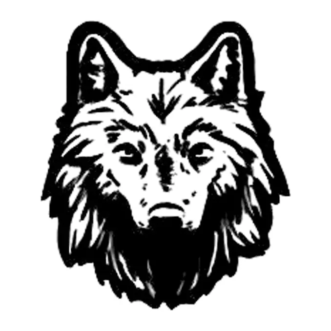 Tatuagem temporária Animais Selvagens — Lobo — rosto. Inclui lobo