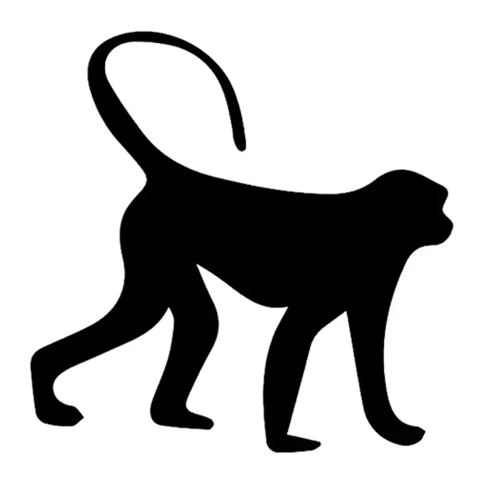 Tatuagem temporária Animais Selvagens — Macaco em silhueta. Inclui macaco
