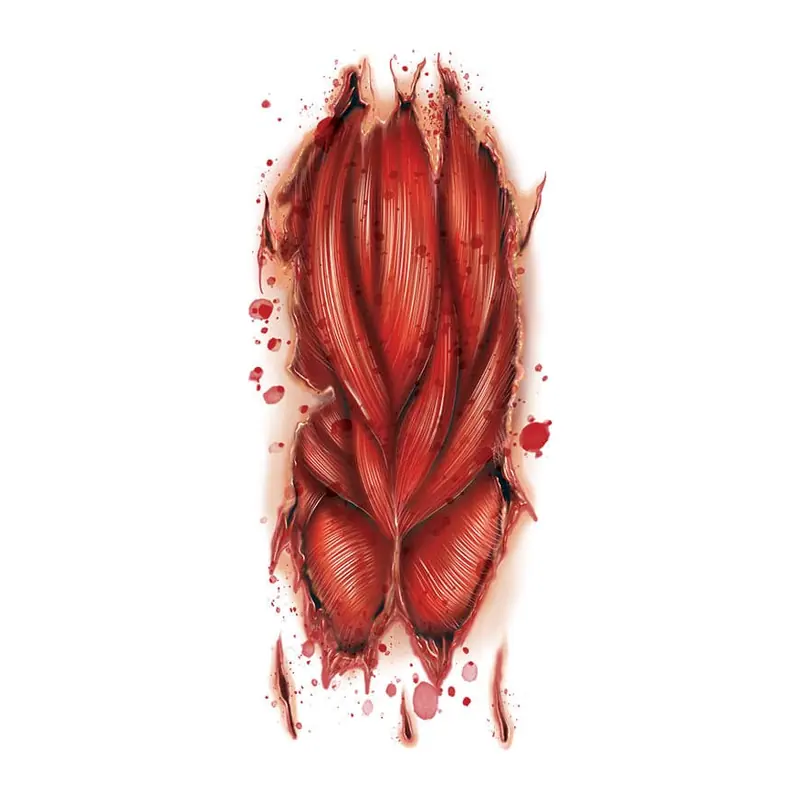 Tatuagem temporária Efeitos e Fantasia — Músculo exposto. Inclui músculos