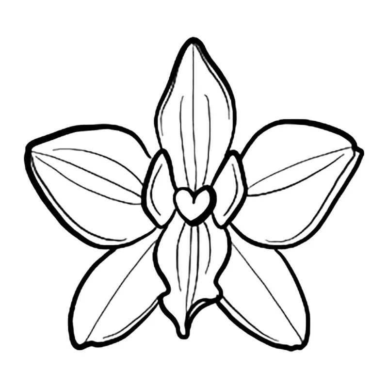Tatuagem temporária Flores — Orquídea. Inclui orquídea