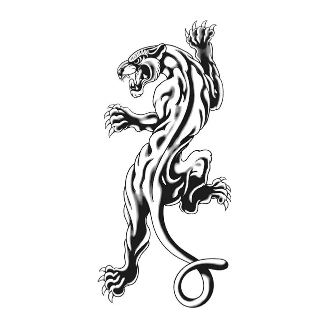 Tatuagem temporária Animais Selvagens — Pantera escalando. Inclui pantera