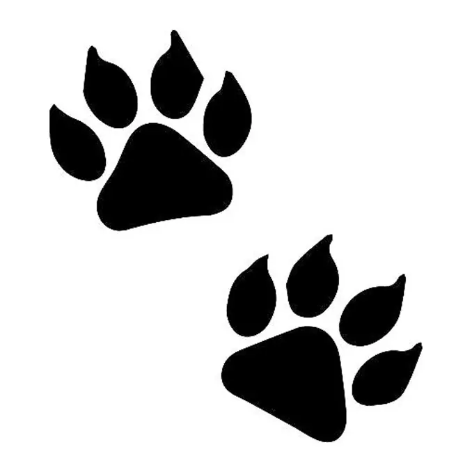 Tatuagem temporária Bichinhos Fofos — Patas de animal. Inclui patas