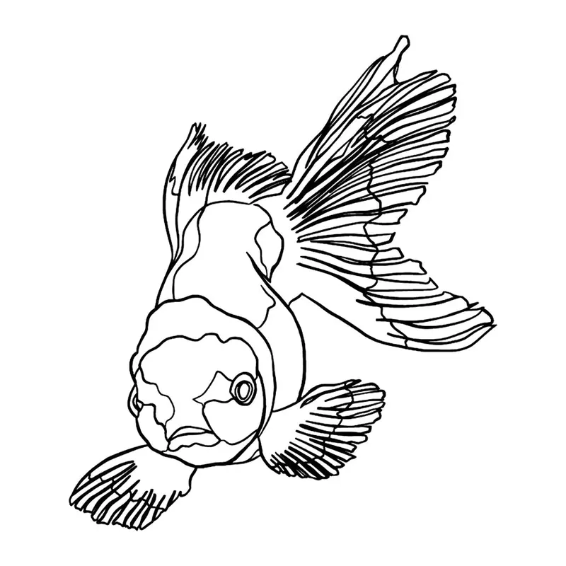 Tatuagem temporária Mar e Animais Marinhos — Peixe dourado. Inclui peixe