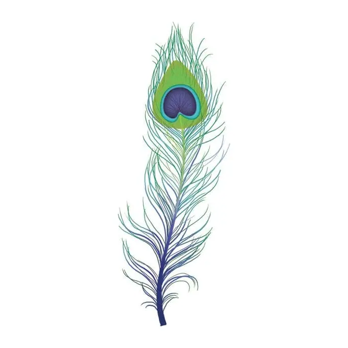 Tatuagem temporária Pássaros — Pena de pavão — Modelo 2. Inclui pena