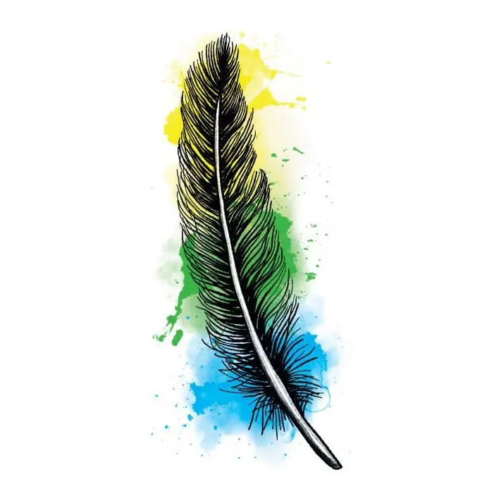 Tatuagem temporária Pássaros — Pena em aquarela. Inclui pena