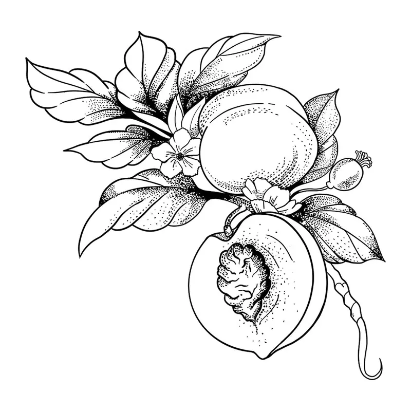 Tatuagem temporária Comida e Bebida — Pêssegos com flores. Inclui pêssego, flores