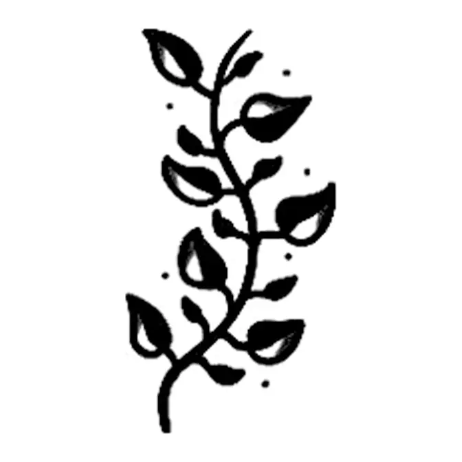 Tatuagem temporária Folhas e Plantas — Ramo com folhas e pontos. Inclui folhas