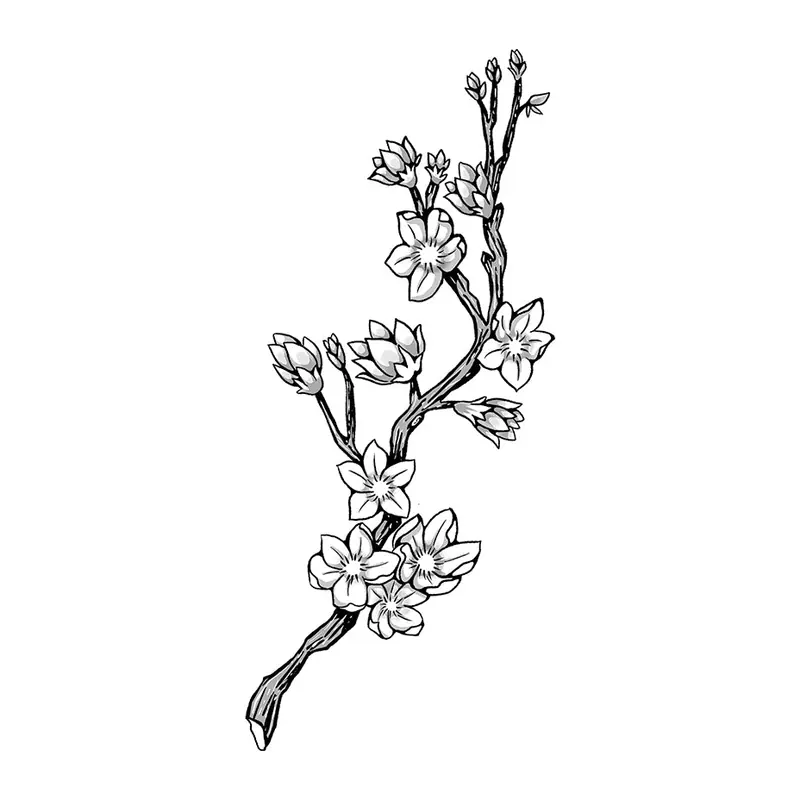 Tatuagem temporária Flores — Ramo de cerejeira. Inclui cerejeira