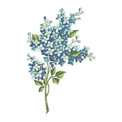 Tatuagem temporária Flores — Ramo de flores azuis — Modelo 1. Inclui flores
