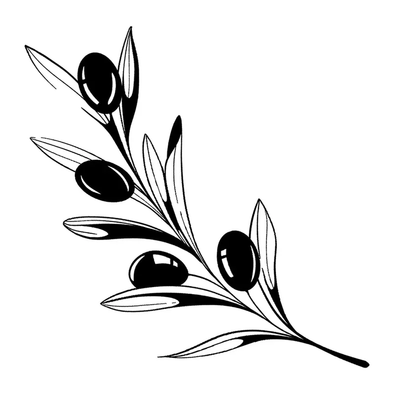 Tatuagem temporária Folhas e Plantas — Ramo de oliveira com azeitonas. Inclui oliveira, azeitonas