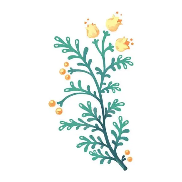 Tatuagem temporária Folhas e Plantas — Ramo verde com flores amarelas. Inclui ramo, flores