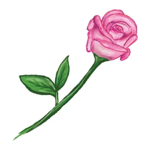 Tatuagem temporária Flores — Rosa rosa de haste. Inclui rosa