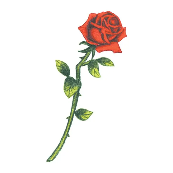 Tatuagem temporária Flores — Rosa vermelha de haste. Inclui rosa