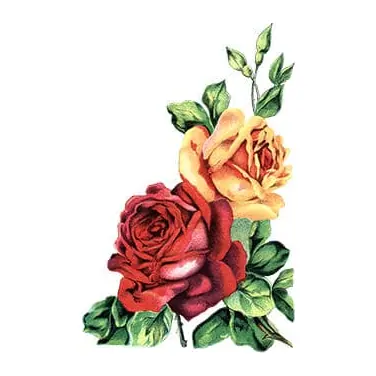 Tatuagem temporária Flores — Rosas vermelhas e amarelas. Inclui rosas