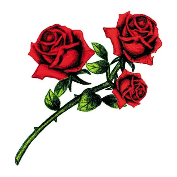 Tatuagem temporária Flores — Rosas vermelhas. Inclui rosas