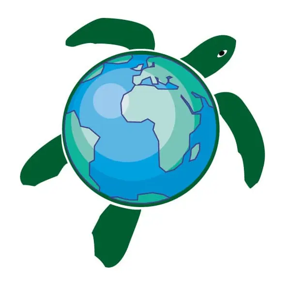 Tatuagem temporária Mar e Animais Marinhos — Tartaruga com planeta Terra. Inclui tartaruga, planeta