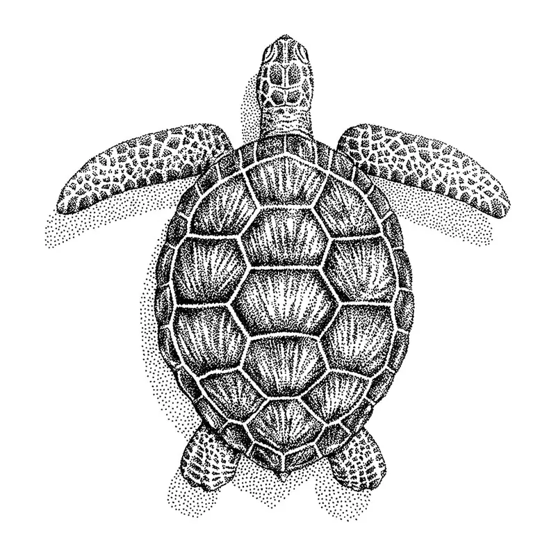Tatuagem temporária Mar e Animais Marinhos — Tartaruga-marinha pontilhada. Inclui tartaruga