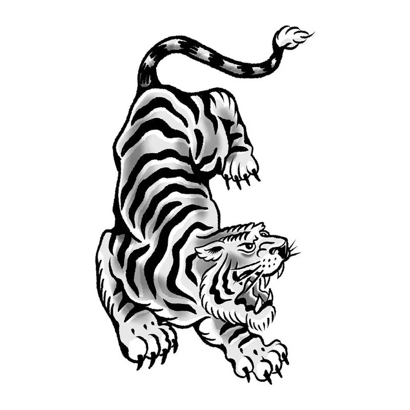Tatuagem temporária Animais Selvagens — Tigre oriental agachado. Inclui tigre