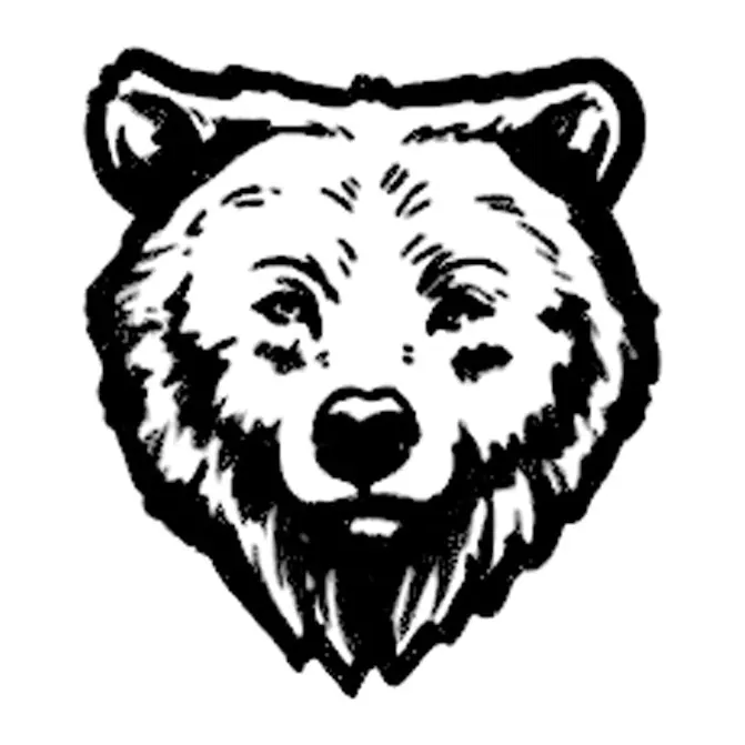 Tatuagem temporária Animais Selvagens — Urso — rosto. Inclui urso